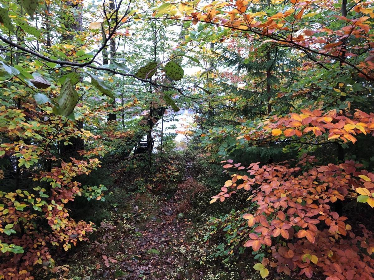 Naturskoent Boende Vid Sjoe Skanes Fagerhult Экстерьер фото